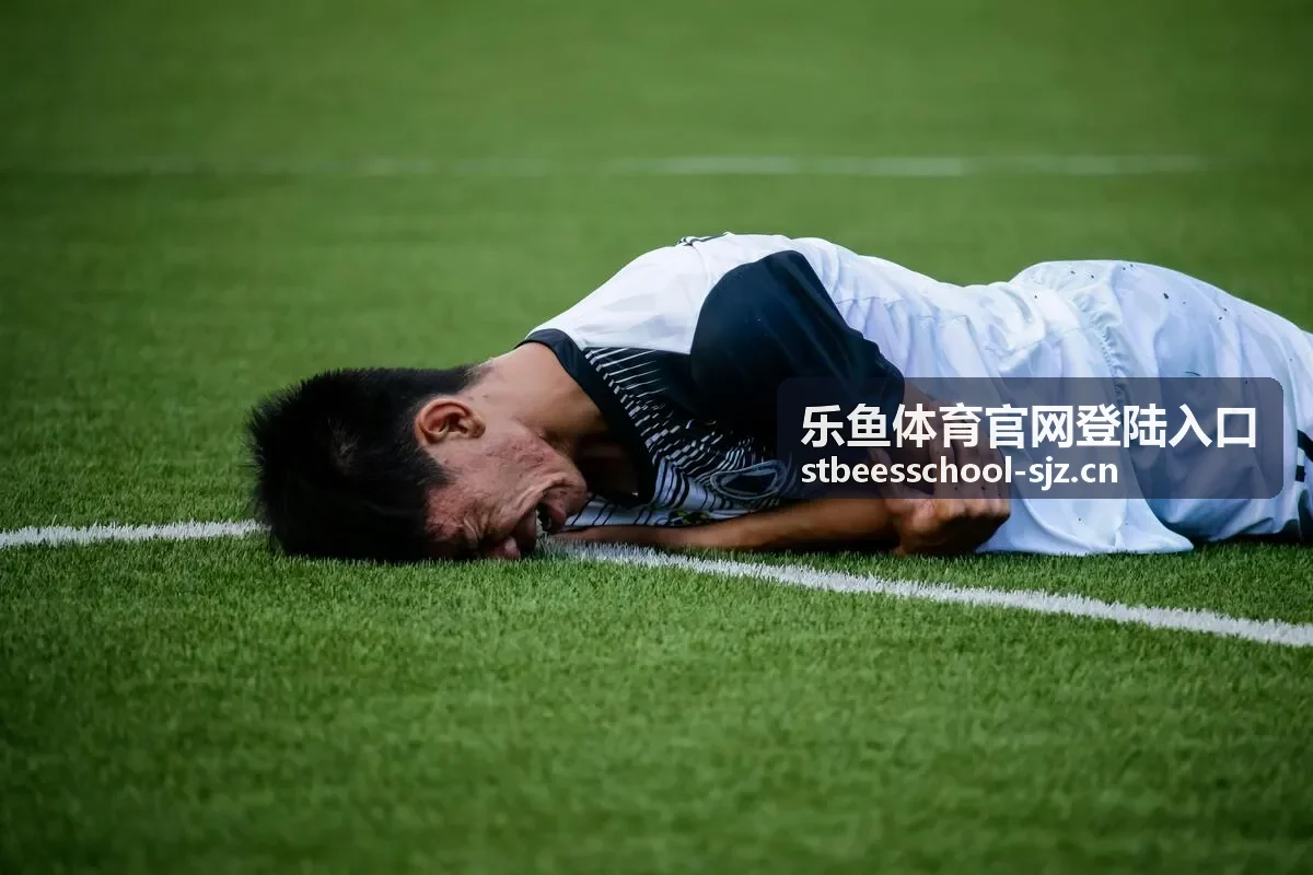 乐鱼体育账号安全与异常处理说明图