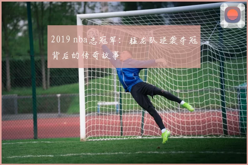 2019 nba总冠军：猛龙队逆袭夺冠背后的传奇故事