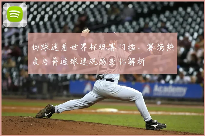 伪球迷看世界杯观赛门槛、赛场热度与普通球迷观感变化解析