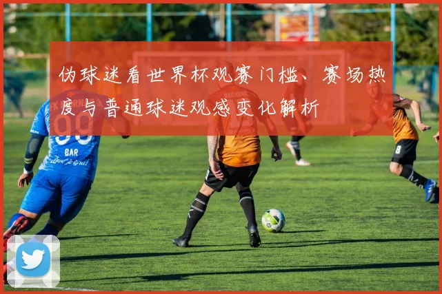 伪球迷看世界杯观赛门槛、赛场热度与普通球迷观感变化解析