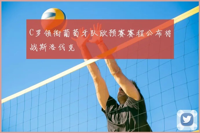 C罗领衔葡萄牙队欧预赛赛程公布将战斯洛伐克