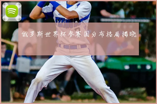 俄罗斯世界杯参赛国分布格局揭晓