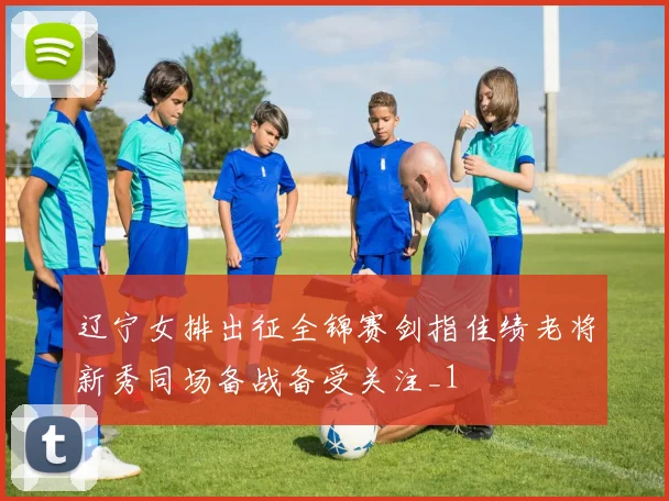 辽宁女排出征全锦赛剑指佳绩老将新秀同场备战备受关注_1